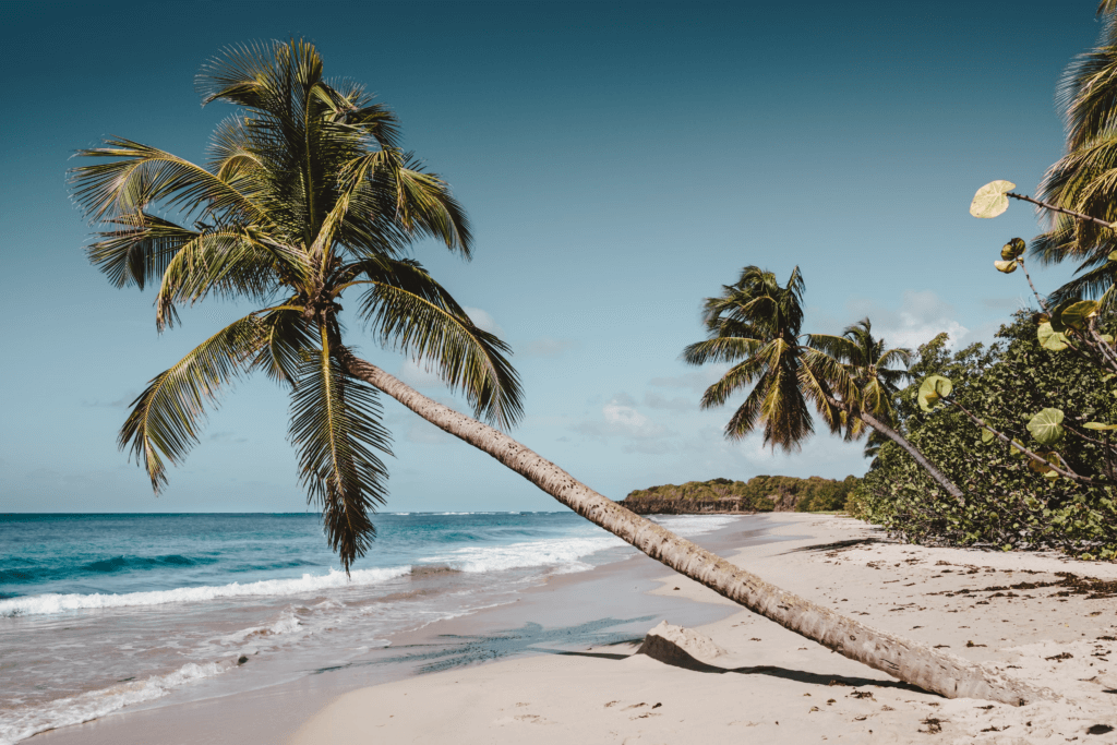 Ground up investing projects